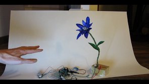 Interactive flower called "Dance with Us"